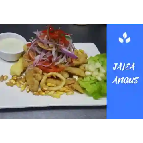 Jalea Angus