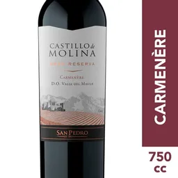  Castillo De Molina Vino Tinto Carmenere Gran Reserva 