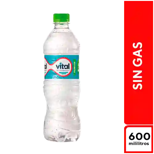 Vital Mineral Sin Gas 500 ml