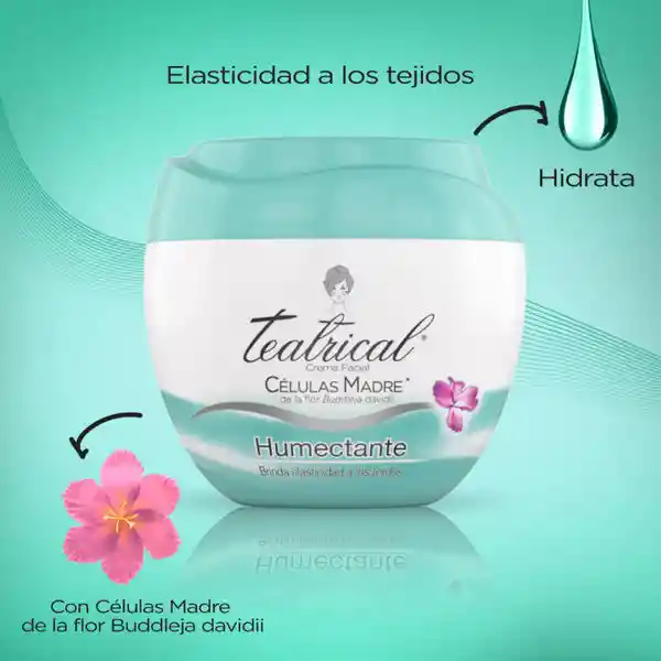 Teatrical Agua Micelar + Crema Humectante + Crema Antiarrugas