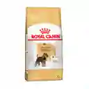 Royal Canin Alimento Para Perro Adulto Miniature Schnauzer Adult