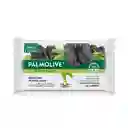 Palmolive Jabón Barra Naturals Charcoal