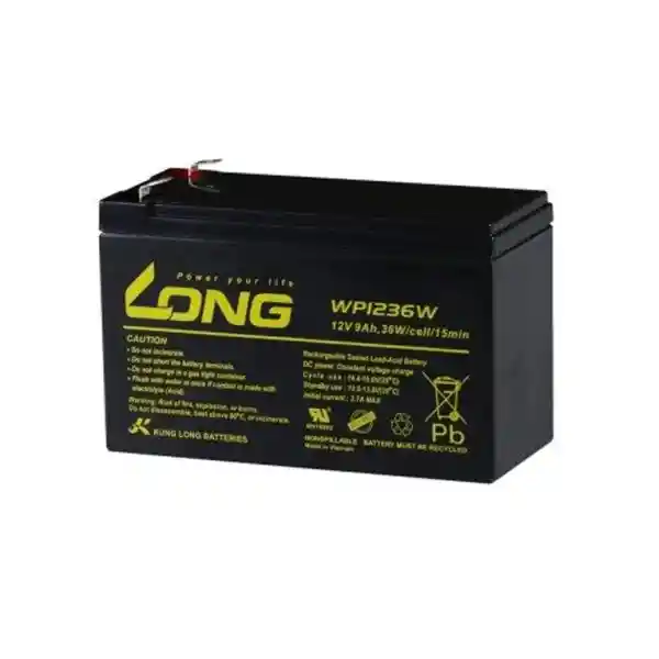 Long Batería 12v Ciclo Profundo AGM 36AH U1-36E