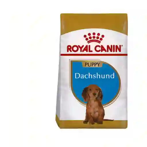 Royal Canin Alimento Para Perro Cachorro Dachshund Junior