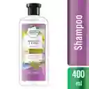 Herbal Essences Shampoo Rosemary & Herbs