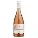 Casas Del Bosque Vino Casas Del Bosque Reserva Rosé 13.5