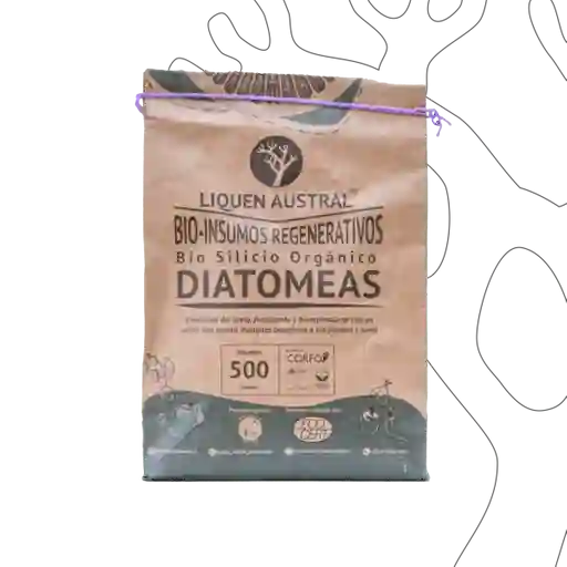 Austral Tierra de Diatomeas Liquen