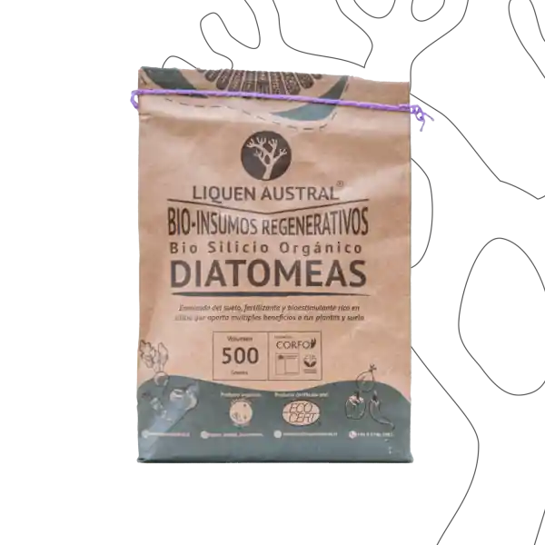 Austral Tierra de Diatomeas Liquen