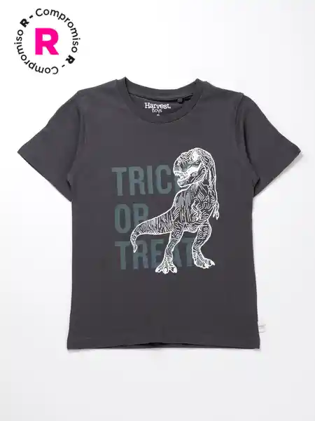 Harvest Polera Baslis es Carbón 6 V26