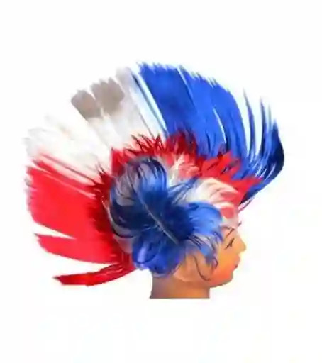 Peluca Punk Chile