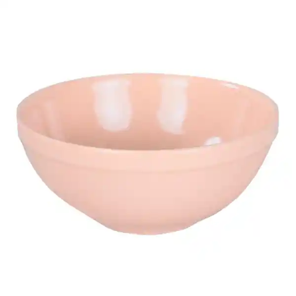 Bowl Solid Color Rosa st