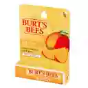 Burt's Bees Hidratante Labial Mango