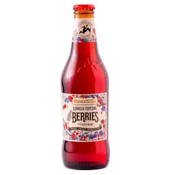 Kross Cerveza Berries