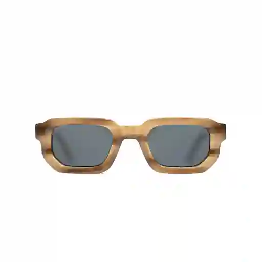 Lentes de Sol Cohen Brown Inztinto