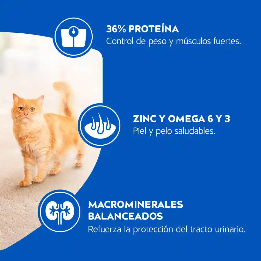 Cat Chow Alimento para Gatos Esterilizados