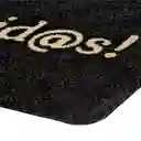 Limpia Pies de Fibra Natural 32 x 68 cm