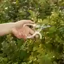 Tijera de Jardín Para Podar Casaideas