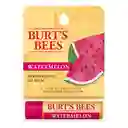 Burt's Bees Bálsamo Labial Watermelon