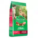 Dog Chow Alimento Perro Adultt Razz Mediana/Grande