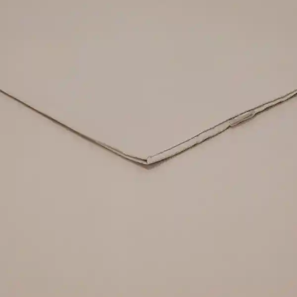 Set Funda de Almohada de Microfibra Beige 50 x 90 cm Casaideas