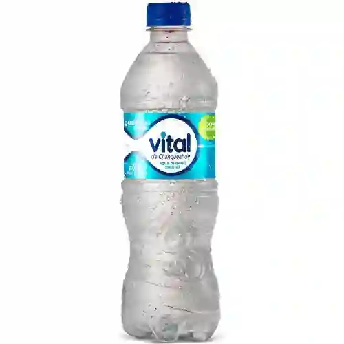 Agua Mineral con Gas Vital 600 ml