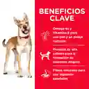 Hills Alimento Para Perro Advanced Fitness