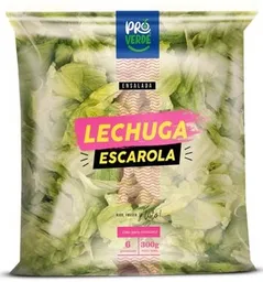 Pro verde Ensalada de Lechuga Escarola