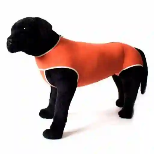 Kimbavet Body Cobre T09