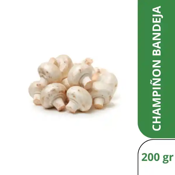 Champiñón