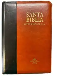 Biblia Negra Marrón 14 P RVRO66CLGPJRZTI
