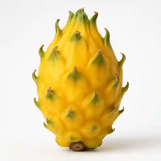 Diente de Dragón de Ave