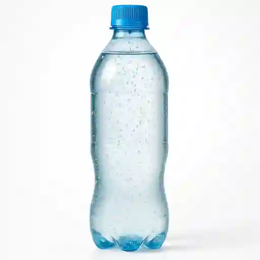 Agua Con Gas 600 Cc