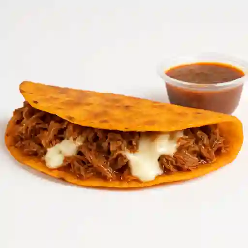Quesadilla de Birria