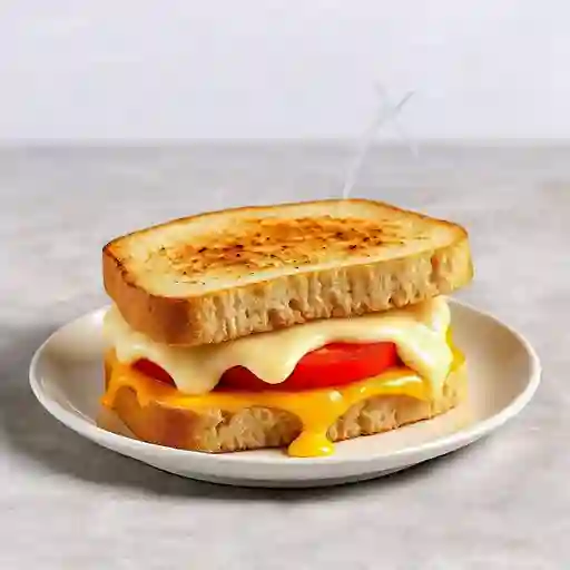 Sándwich Tomate y Queso