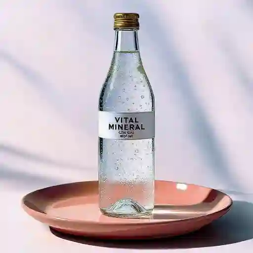 Vital Mineral con Gas 500 ml
