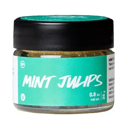 Mint Julips Lip Scrub | Exfoliantes de labios