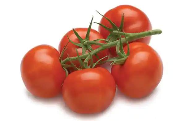 Tomate racimo