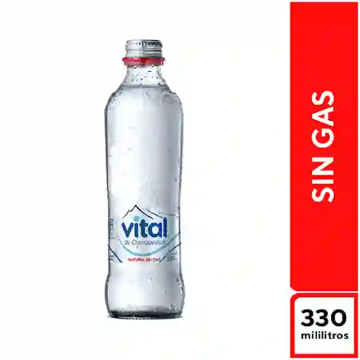 Agua Vital Sin Gas 330ml