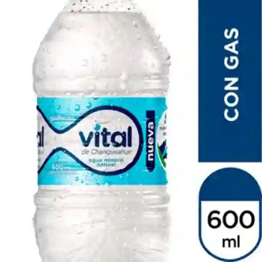 Agua con Gas 330Ml