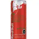 Red Bull Summer Edition