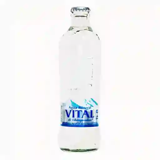 Agua Vital Con Gas
