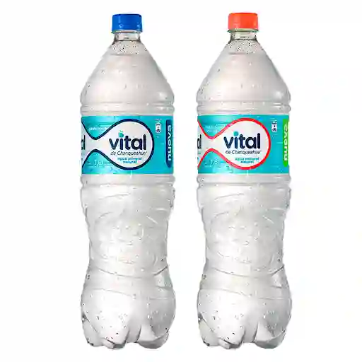 Agua Mineral Vital De 1.6lt