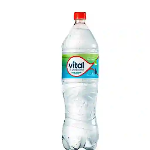Agua Mineral Vital Sin Gas De 1.6lt