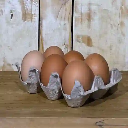 Huevos (6 Unidades)