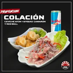 Ceviche Atún + Gyozas + Redbull