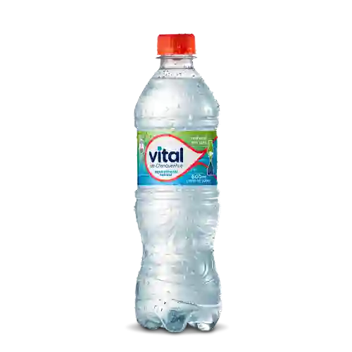 Agua Mineral Vital