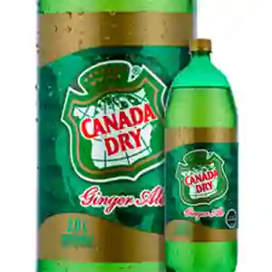 Canada Dry Ginger Ale 3.0 Lts.
