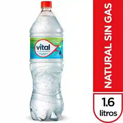 Agua Mineral Vital S/gas 1600cc