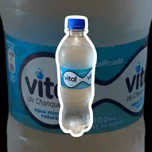 Agua Con Gas Vital 600ml