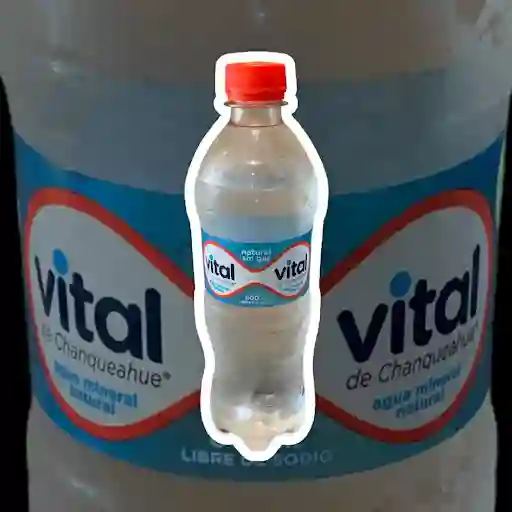 Agua Sin Gas Vital 600ml